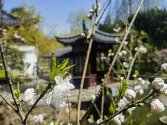 -狼山风景名胜区