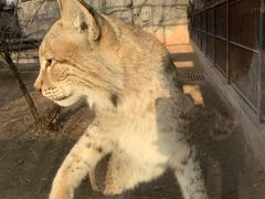 -石家庄市动物园