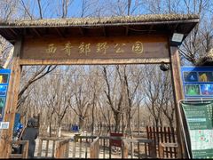 -西青郊野公园