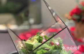 Solo Ice Plant Salad