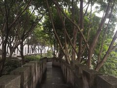 -重庆市江北嘴中央商务区中央公园