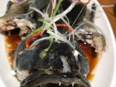 豉蒸南海大龙胆-必点海鲜·鲅鱼水饺(鞍山西道店)