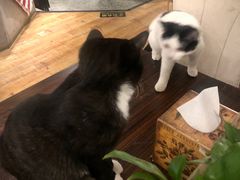 -么么咖啡(燕郊店)