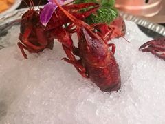 -京悦南门涮羊肉·羊蝎子火锅(田林路店)
