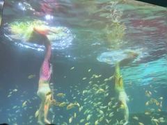 -华夏文旅西安度假区