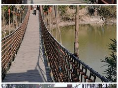 -上海吴淞炮台湾国家湿地公园
