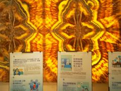 -百富怡大酒店