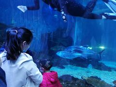 -华夏文旅海洋公园