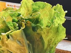 -红泥小火炉·东北泥炉烤肉(天一旗舰店)