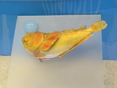 -陕西自然博物馆