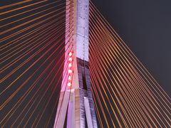 -西双版纳原始森林公园