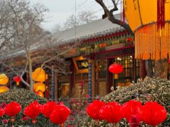 -白家大院·王府宫廷菜(苏州街店)