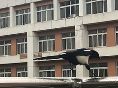 -中国计量大学(西校区)