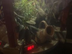 -碧水湾温泉