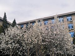-东北大学(南湖校区)