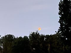 -意大利农场度假村