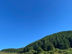 -四川郎木寺镇