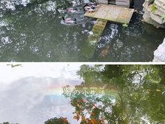 -东湖落雁景区