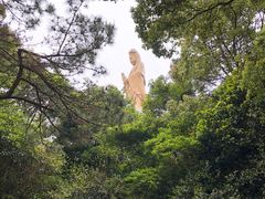-普陀山慧济禅寺