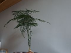 -静一餐厅·湖北菜(前门创始店)