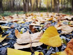 -汉长安城未央宫国家考古遗址公园