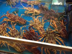 -万宝海鲜舫(劳动公园店)