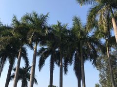 -厦门悦华酒店