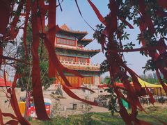 -曹州牡丹园