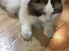 -白兔子密室(长寿路店)