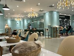 -安格丽娜·狗咖·猫咖羊驼咖(春熙路百盛商场店)