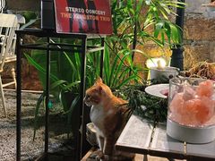 -厦门良筑精品酒店(厦门中山路店)