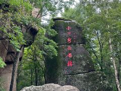-汤旺河林海奇石景区