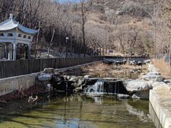 -白水寺森林公园