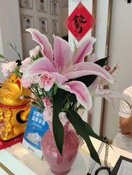 -Dr.林醫生产后修复·配方产康店(南京大厂店)