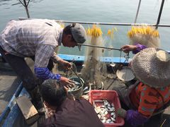-滑记海鲜饭店·老字号(海鲜街店)