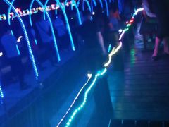 -枫林花海