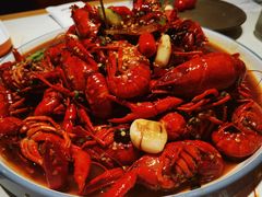 -杨氏青龙虾·羊蝎子(托乐嘉店)