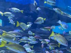 -海合安武汉极地海洋公园