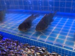 -星伦多自助料理(永旺店)