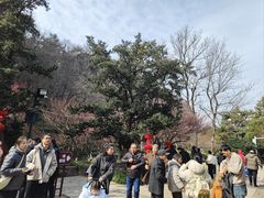 -狼山风景名胜区