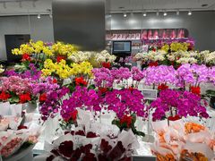 -盒马X会员店(王府井奥莱UP TOWN店)