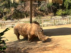 -泉州海丝野生动物世界