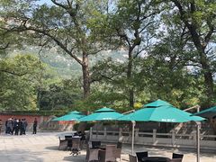 -青岛崂山太清宫