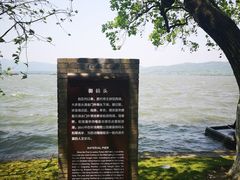 -柳浪闻莺公园