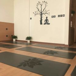 点击看大图 -FineYoga梵音瑜伽·普拉提