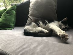 -虚荣精酿酒屋(五羊店)