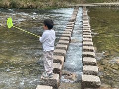 -楠溪江石桅岩