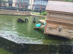 -行者书屋大堂吧 ·下午茶(南京圣和府邸酒店)