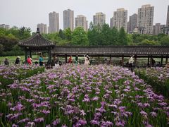 -龙头寺公园