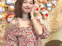 -柴犬高等学院·狗咖·柴犬售卖·宠物训练